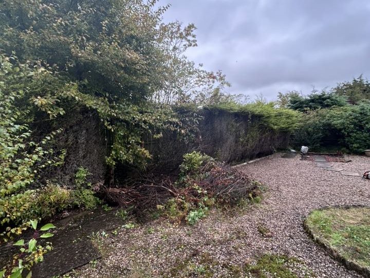 Overgrown wall with shrubs and gravel path under a cloudy sky.