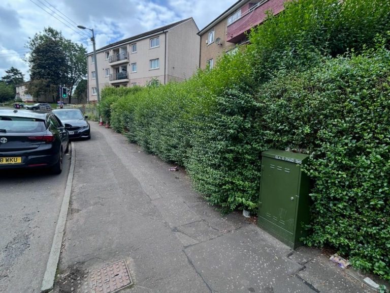 A residential street lined with tall hedges and a green utility box.