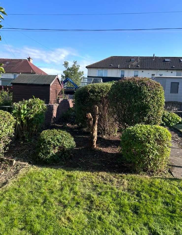 Well-maintained garden with hedges and shrubs, surrounded by houses and a clear blue sky.