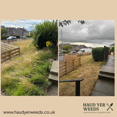 Overgrown grass on the left; neat garden path on the right, under a cloudy sky.