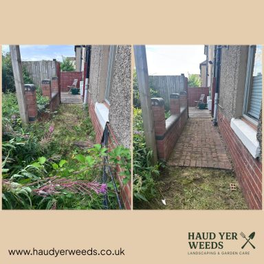Before and after comparison of a garden pathway, showcasing weeds removed and clear ground.