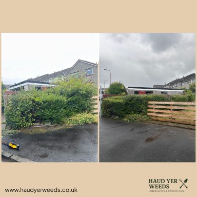 Before and after views of a landscaped area with greenery and a cloudy sky.