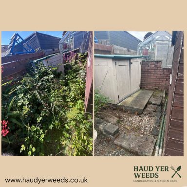 Before and after views of a garden area, showing overgrown plants and a tidy space.