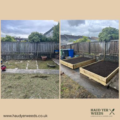 Before and after of a garden transformation, showing cleared ground and new raised beds.